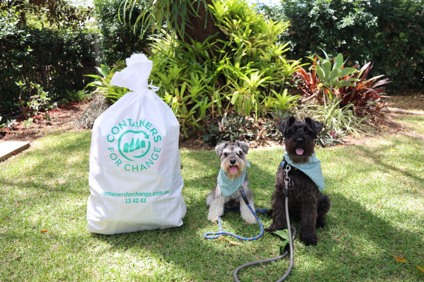 Schnauzers Loki and Winnie from Schnauzer Rescue Queensland sitting on grass beside a Containers for Change collection bag.