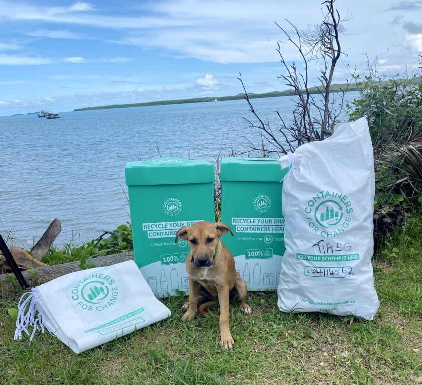 A small brown puppy sits on grass beside Containers for Change collection supplies, including two green cardboard collection boxes and white collection bags.