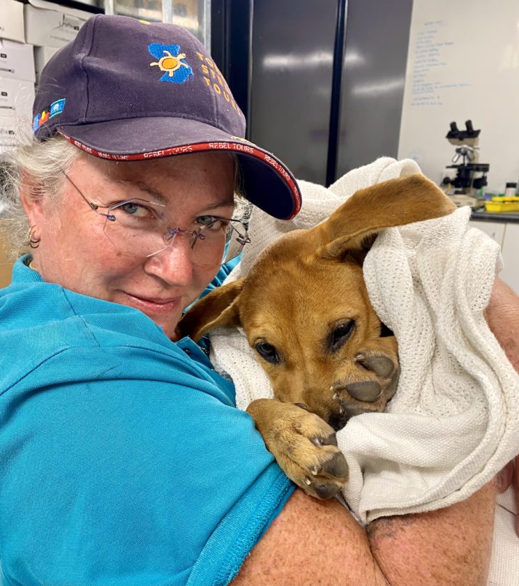 A person wearing a navy cap and blue shirt cradles a small brown dog wrapped in a white towel.